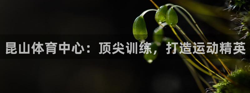 焦点娱乐传媒有限公司怎么样啊：昆山体育中心：顶尖训练