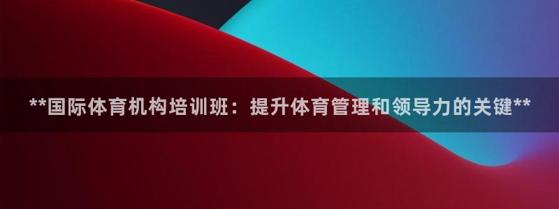 焦点娱乐公司的发展历程简述：**国际体育机构培训班：提升体育