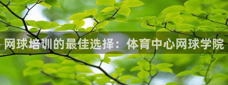 焦点娱乐传媒有限公司招聘信息：网球培训的最佳选择：体