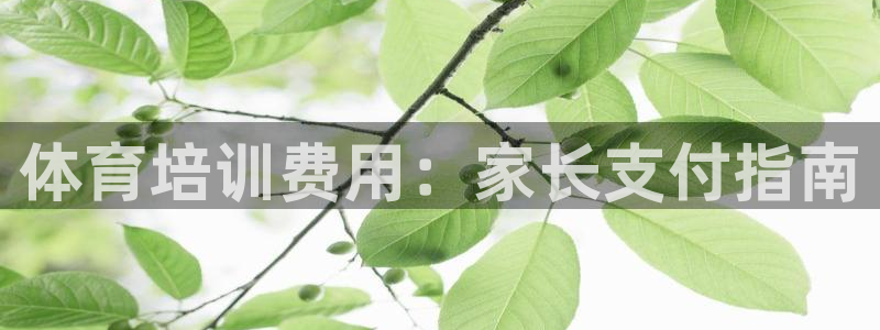 焦点娱乐平台客服电话号码是多少：体育培训费用：家长支